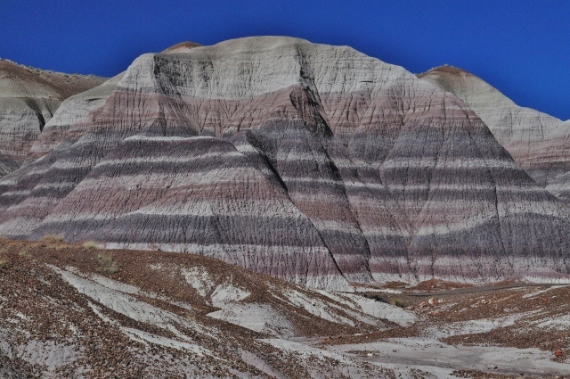 The Blue Mesa Trail